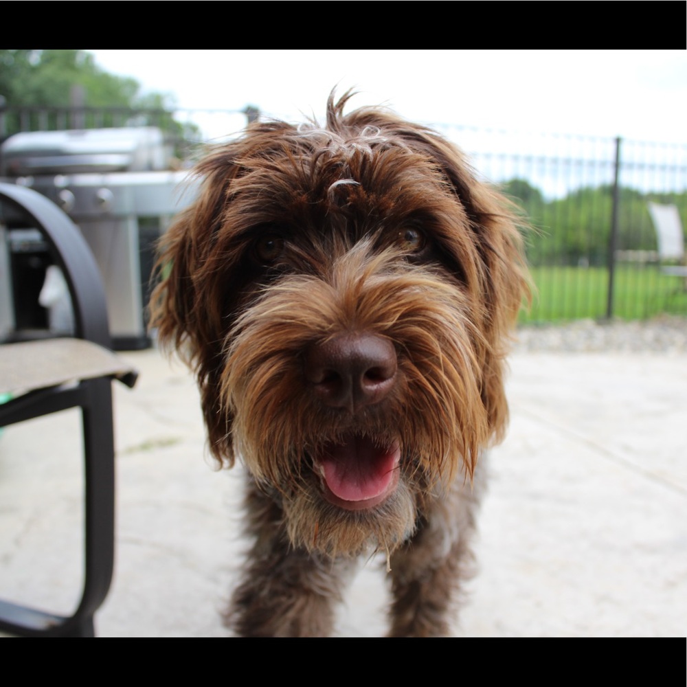 Meet your Posher, Madison